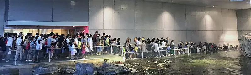 水槽脇を誘導に従って避難する様子
