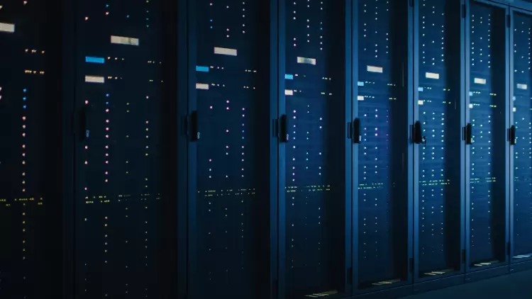 Cyber/digital risk
