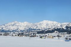 557_ext_05_3.jpg