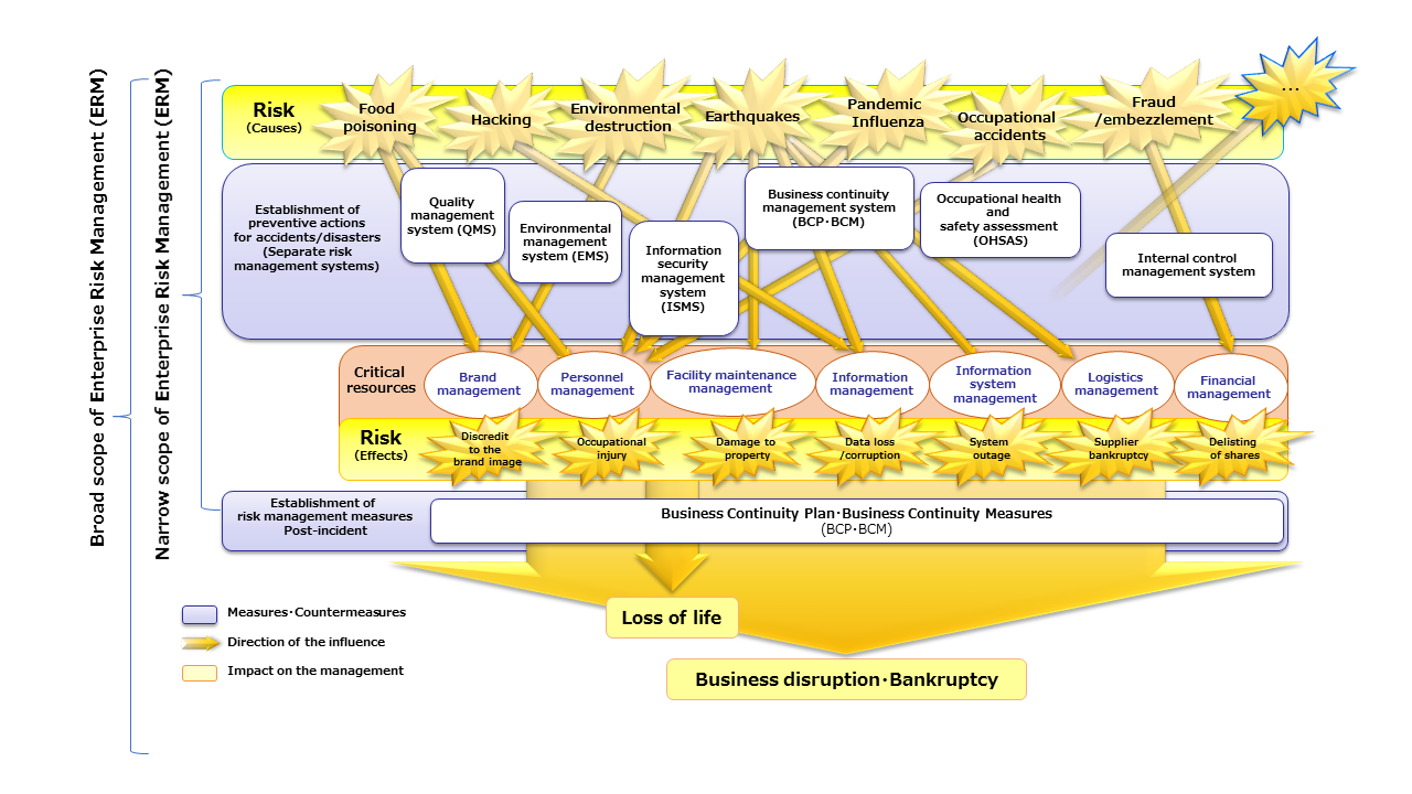 enterprise risk management for dummies