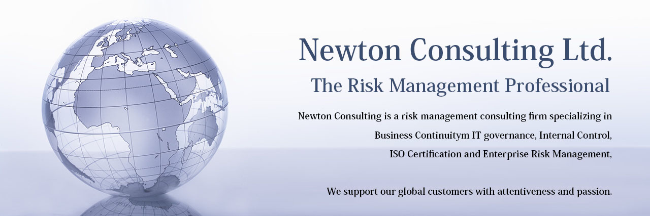 newton consulting case studies